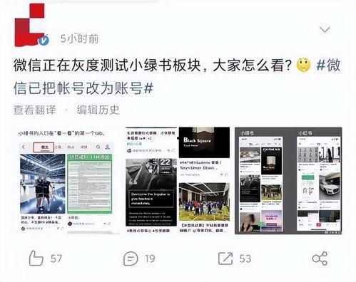 小绿爆料完整视频在线观看,揭秘事件真相，带你一探究竟